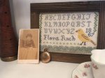 (image for) Flora Finch Sampler